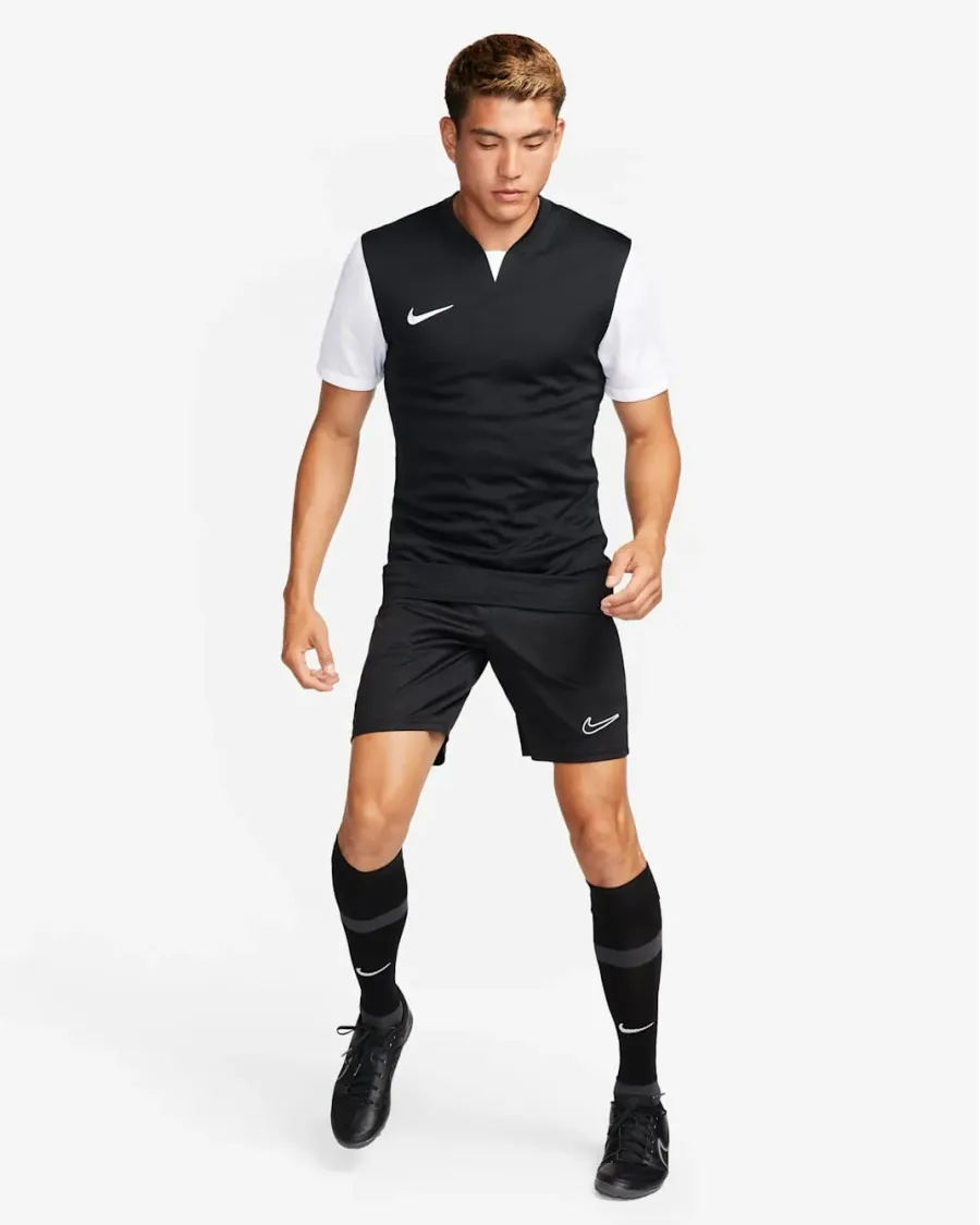 Футболка Nike Dri-FIT Trophy V DR0933-010