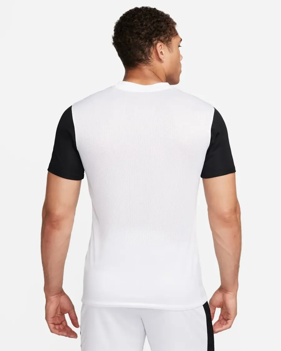 Футболка Nike Dri-FIT Trophy V DR0933-100