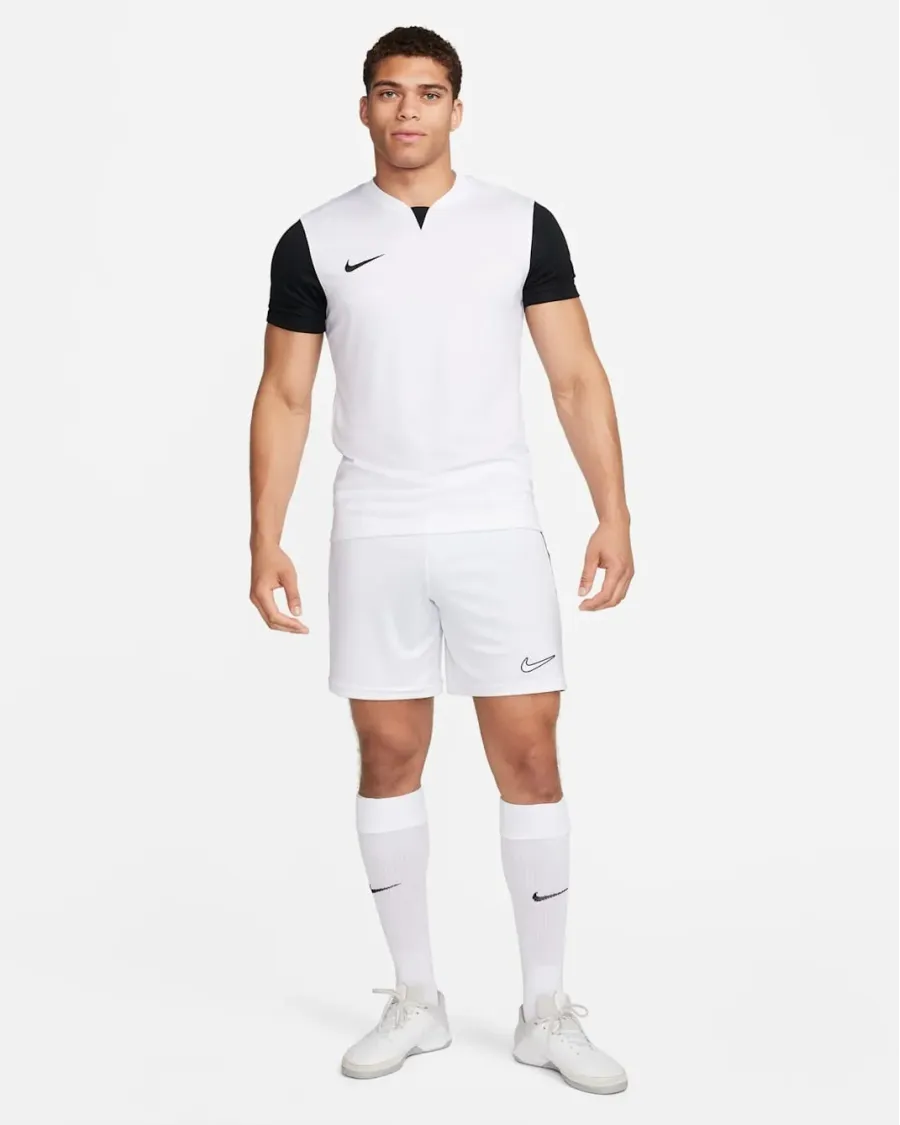 Футболка Nike Dri-FIT Trophy V DR0933-100