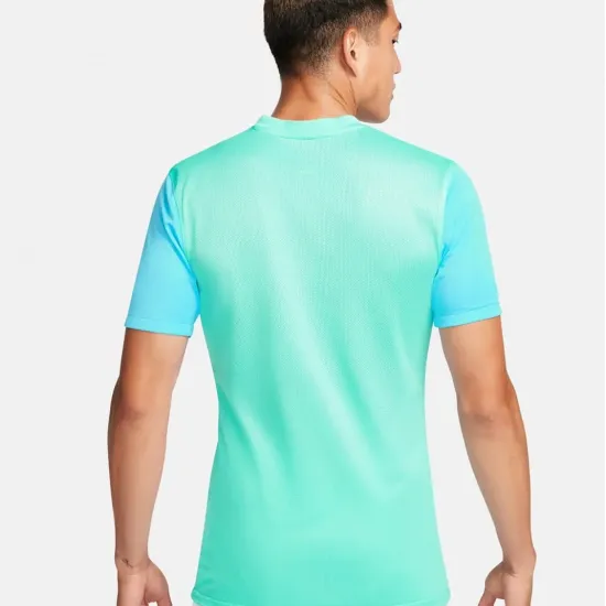 Футболка Nike Dri-FIT Trophy V DR0933-354