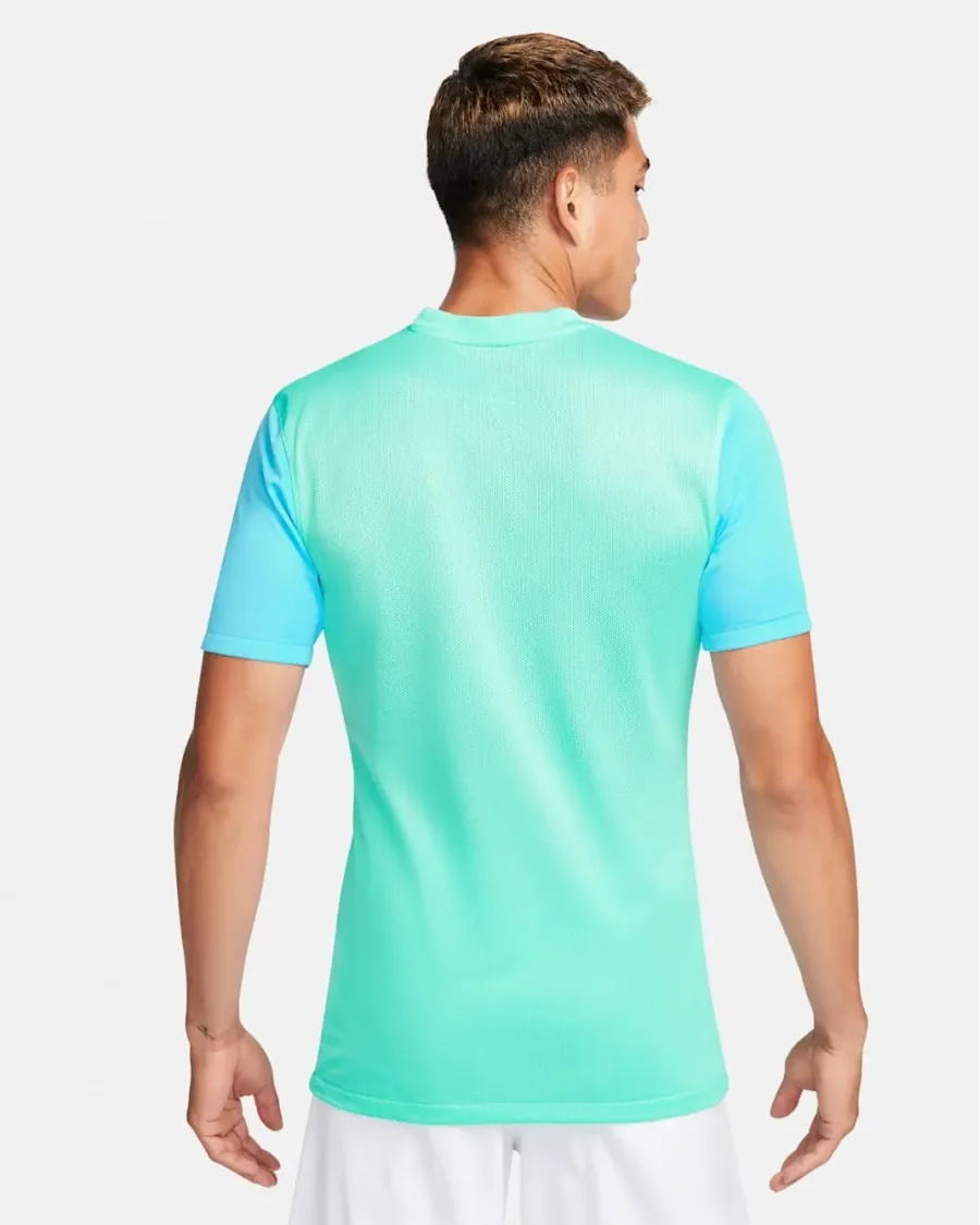 Футболка Nike Dri-FIT Trophy V DR0933-354