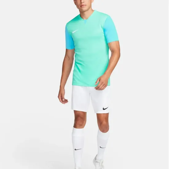 Футболка Nike Dri-FIT Trophy V DR0933-354