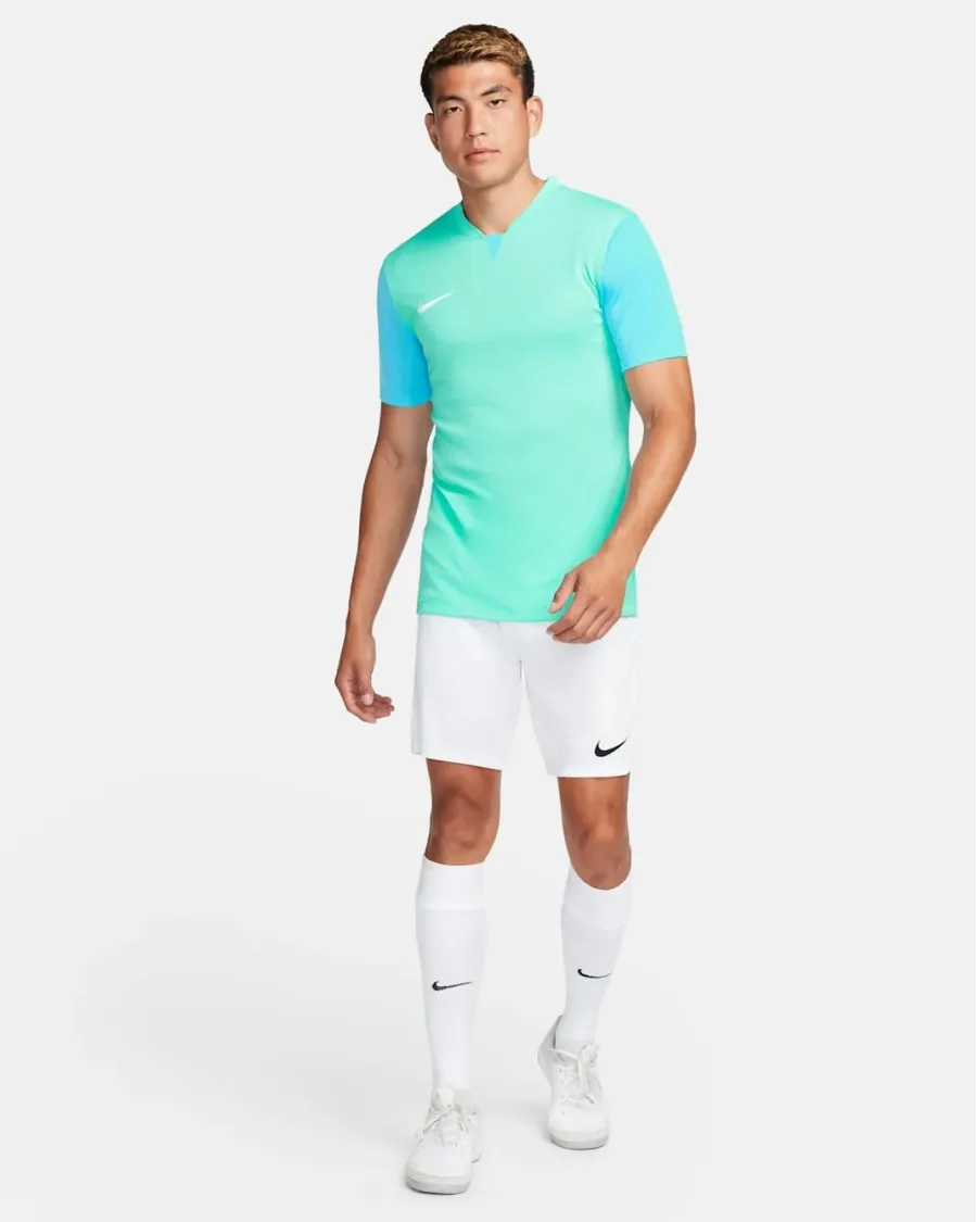 Футболка Nike Dri-FIT Trophy V DR0933-354