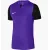 Футболка Nike Dri-FIT Trophy V DR0933-547