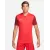 Футболка Nike Dri-FIT Trophy V DR0933-657