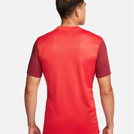 Футболка Nike Dri-FIT Trophy V DR0933-657