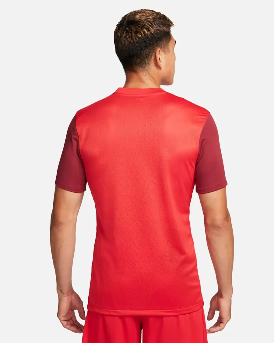 Футболка Nike Dri-FIT Trophy V DR0933-657