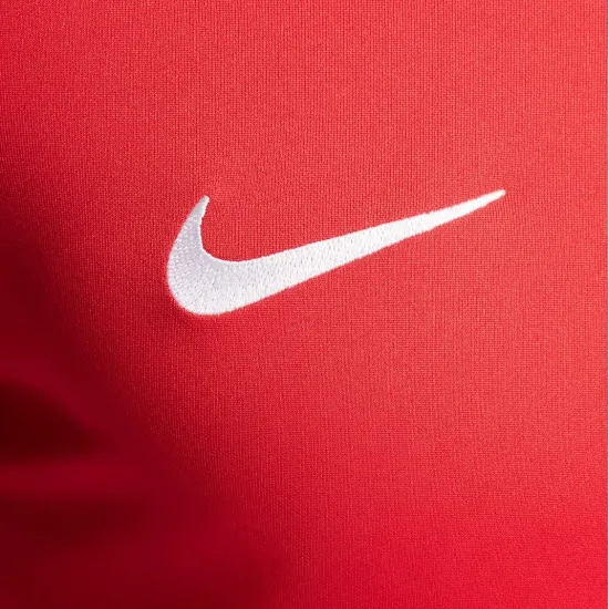 Футболка Nike Dri-FIT Trophy V DR0933-657
