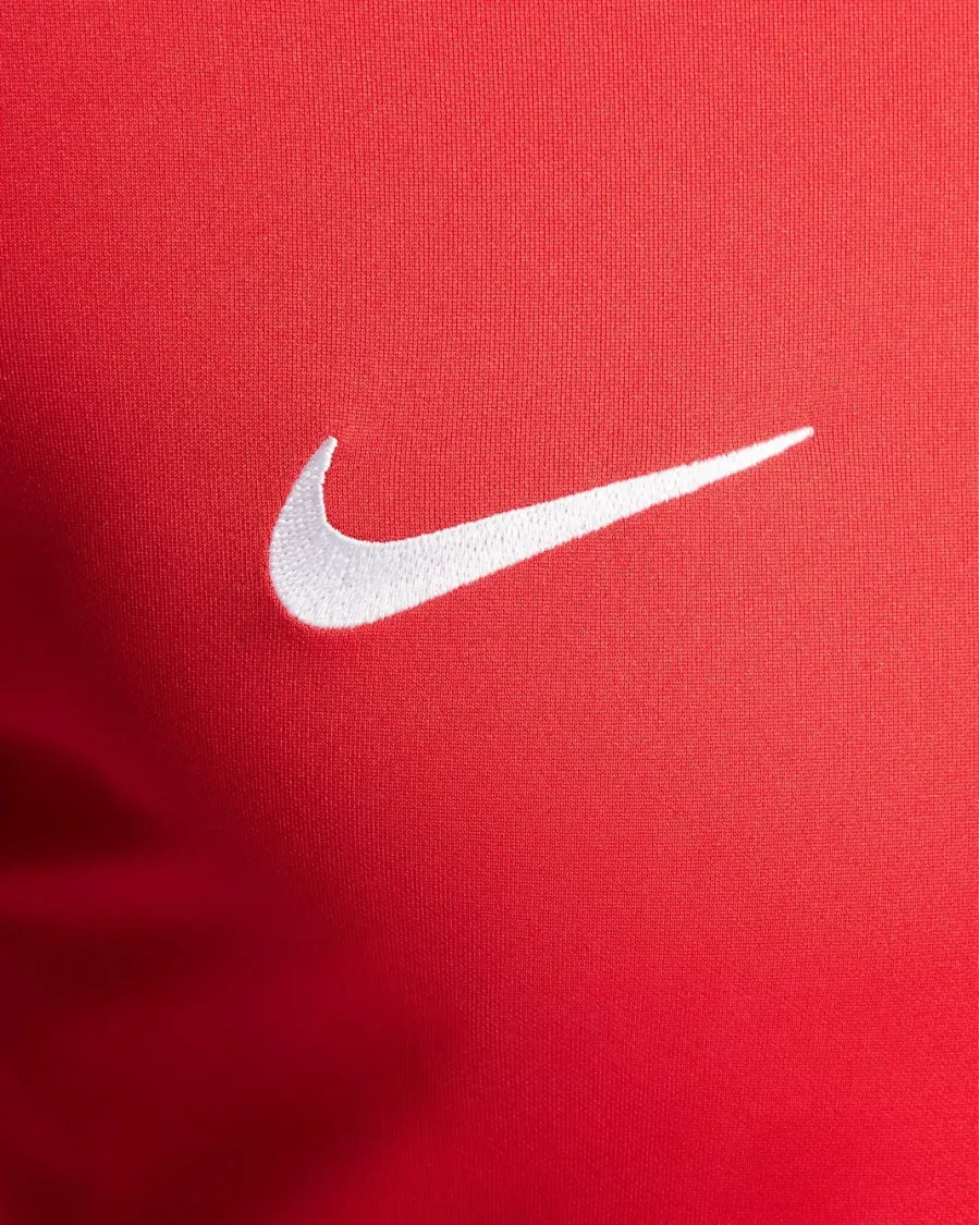 Футболка Nike Dri-FIT Trophy V DR0933-657