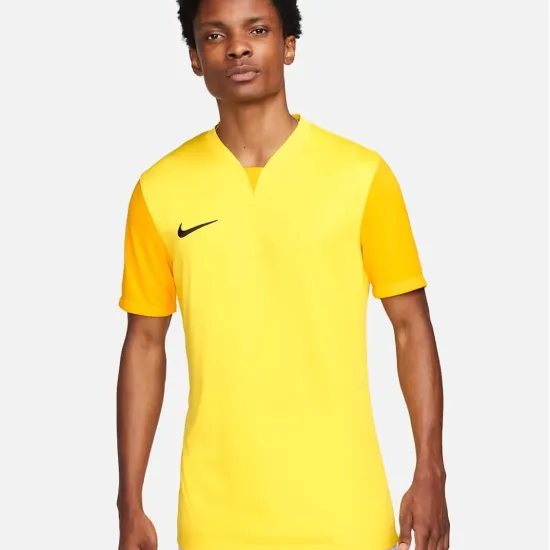 Футболка Nike Dri-FIT Trophy V DR0933-719