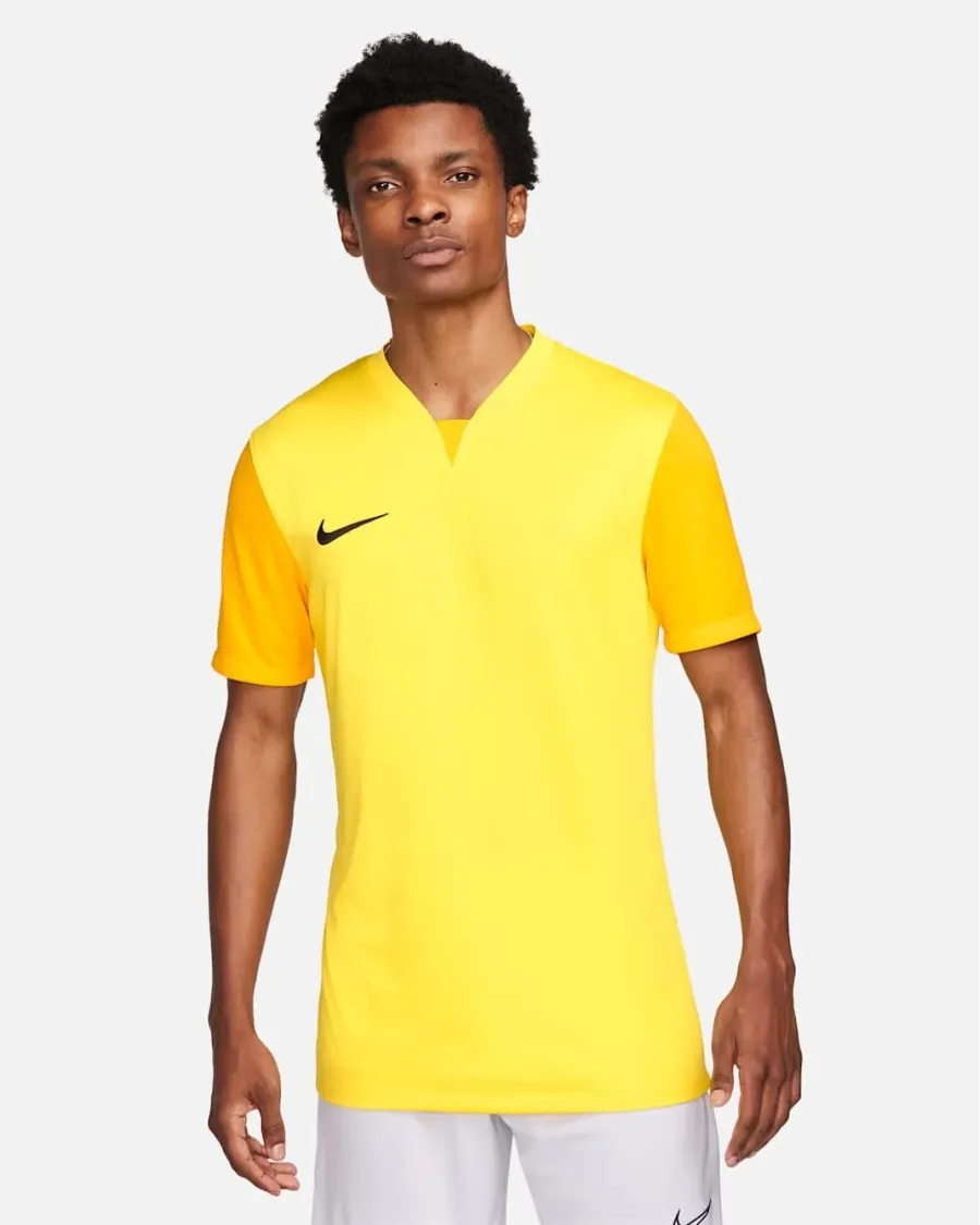 Футболка Nike Dri-FIT Trophy V DR0933-719