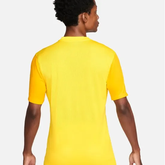 Футболка Nike Dri-FIT Trophy V DR0933-719