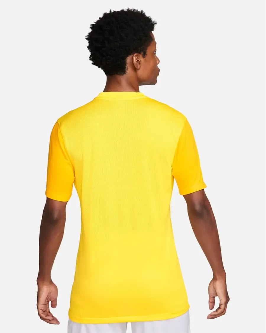 Футболка Nike Dri-FIT Trophy V DR0933-719