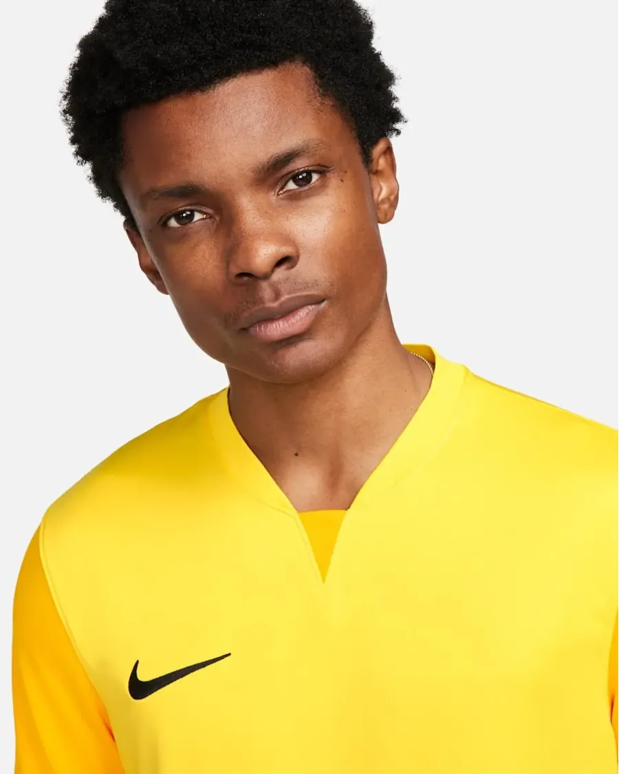 Футболка Nike Dri-FIT Trophy V DR0933-719