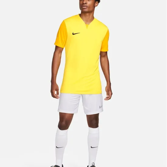 Футболка Nike Dri-FIT Trophy V DR0933-719