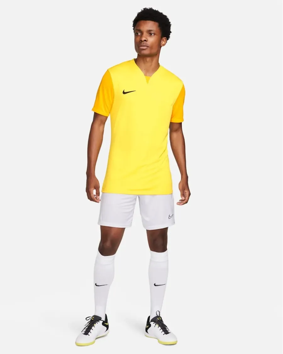 Футболка Nike Dri-FIT Trophy V DR0933-719