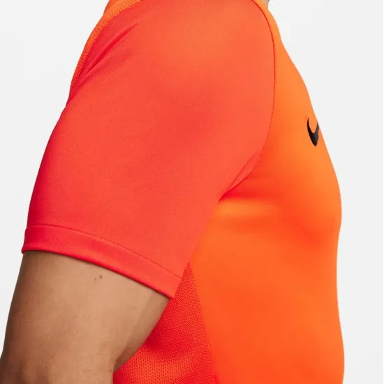 Футболка Nike Dri-FIT Trophy V DR0933-819