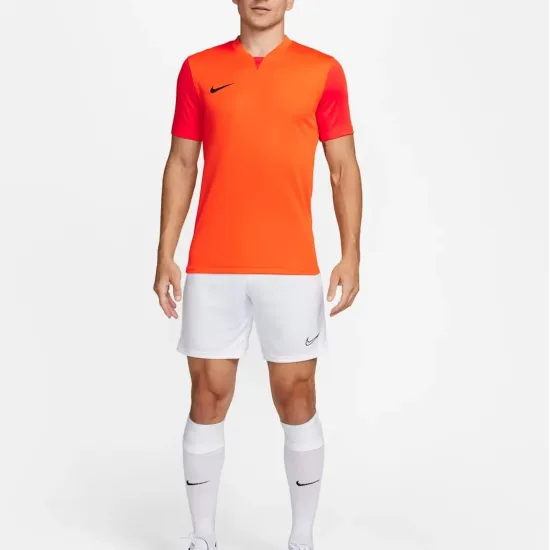 Футболка Nike Dri-FIT Trophy V DR0933-819