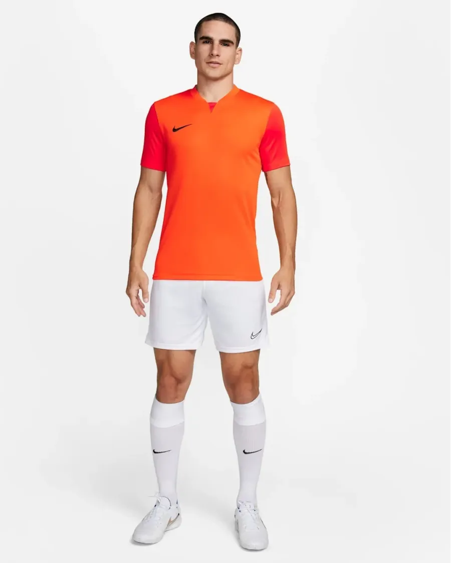 Футболка Nike Dri-FIT Trophy V DR0933-819