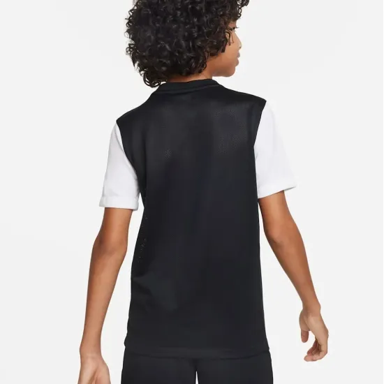 Футболка Nike Dri-FIT Trophy V DR0942-010