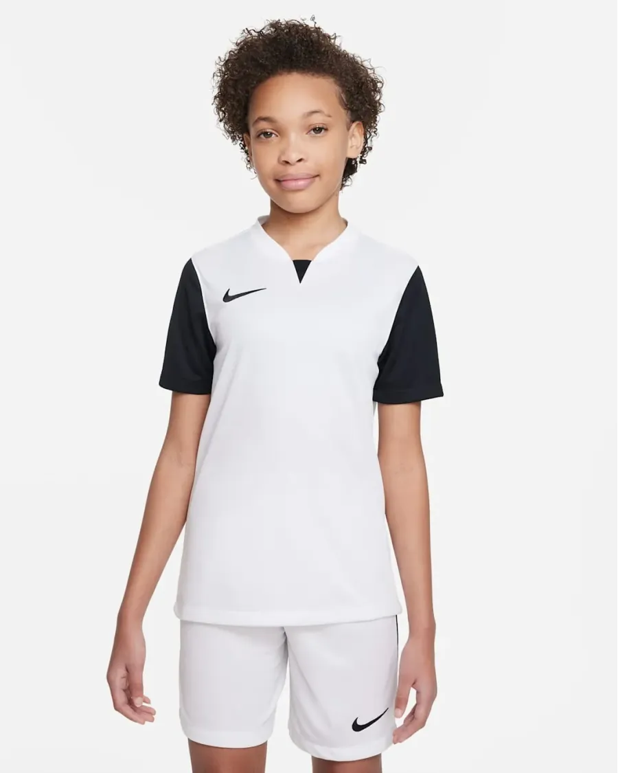 Футболка Nike Dri-FIT Trophy V DR0942-100