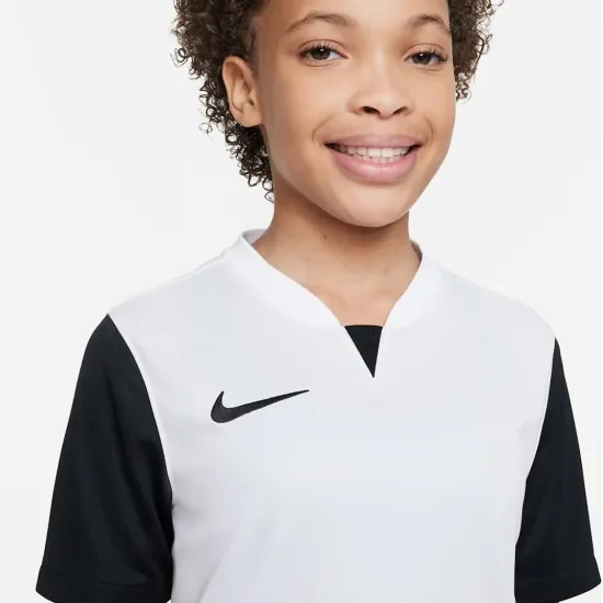 Футболка Nike Dri-FIT Trophy V DR0942-100