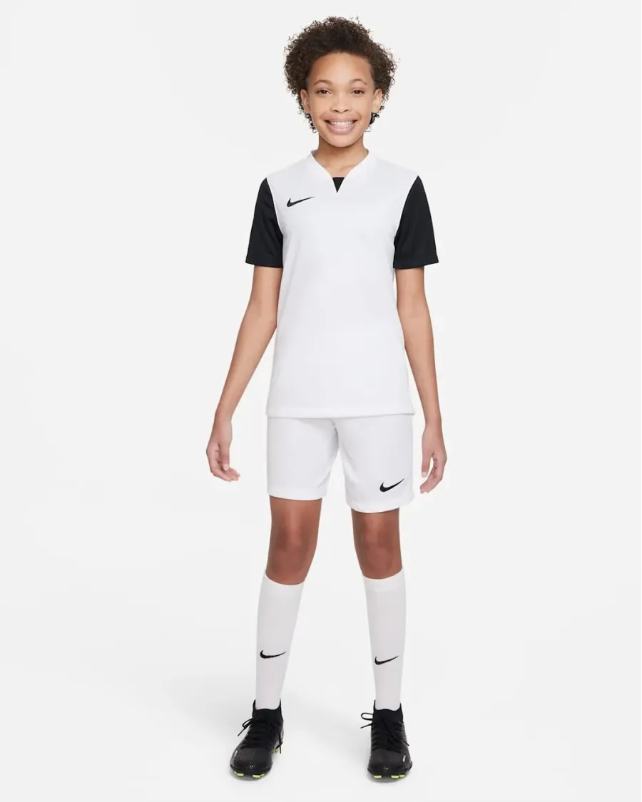 Футболка Nike Dri-FIT Trophy V DR0942-100