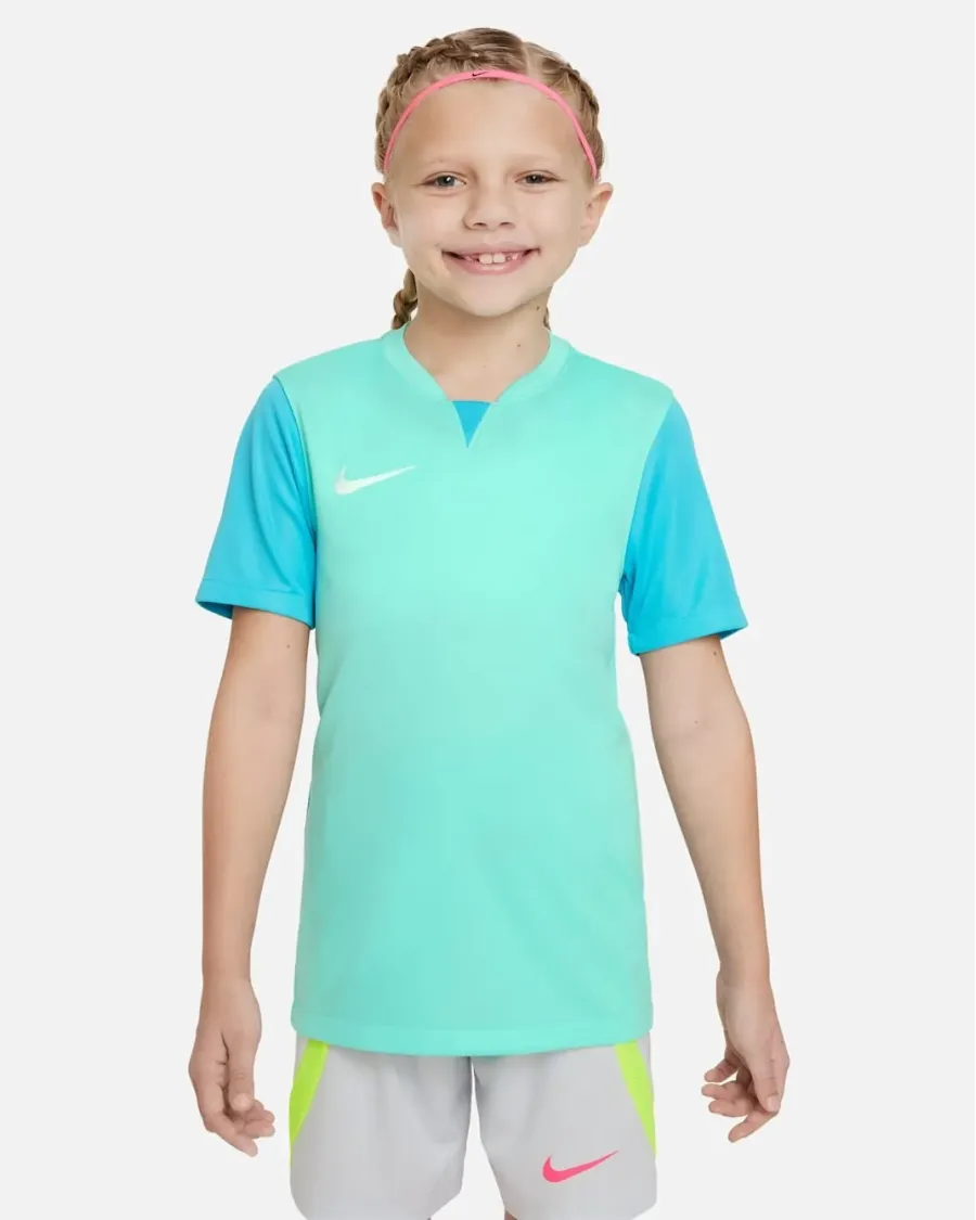 Футболка Nike Dri-FIT Trophy V DR0942-354