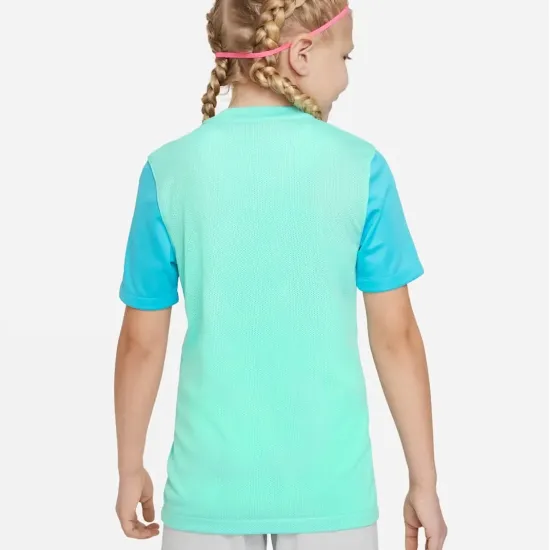 Футболка Nike Dri-FIT Trophy V DR0942-354