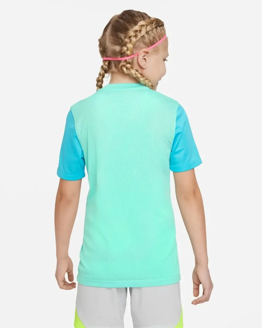 Футболка Nike Dri-FIT Trophy V DR0942-354