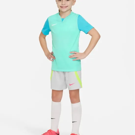 Футболка Nike Dri-FIT Trophy V DR0942-354