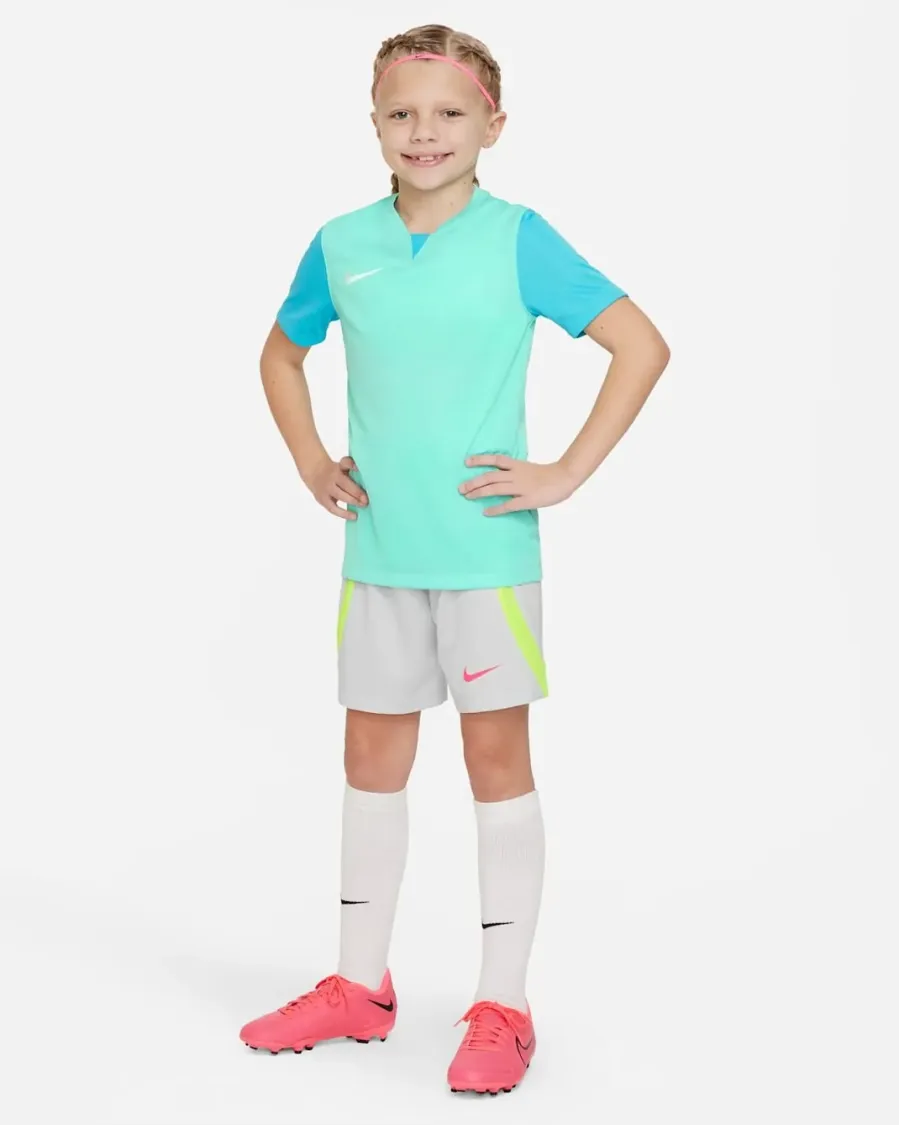 Футболка Nike Dri-FIT Trophy V DR0942-354