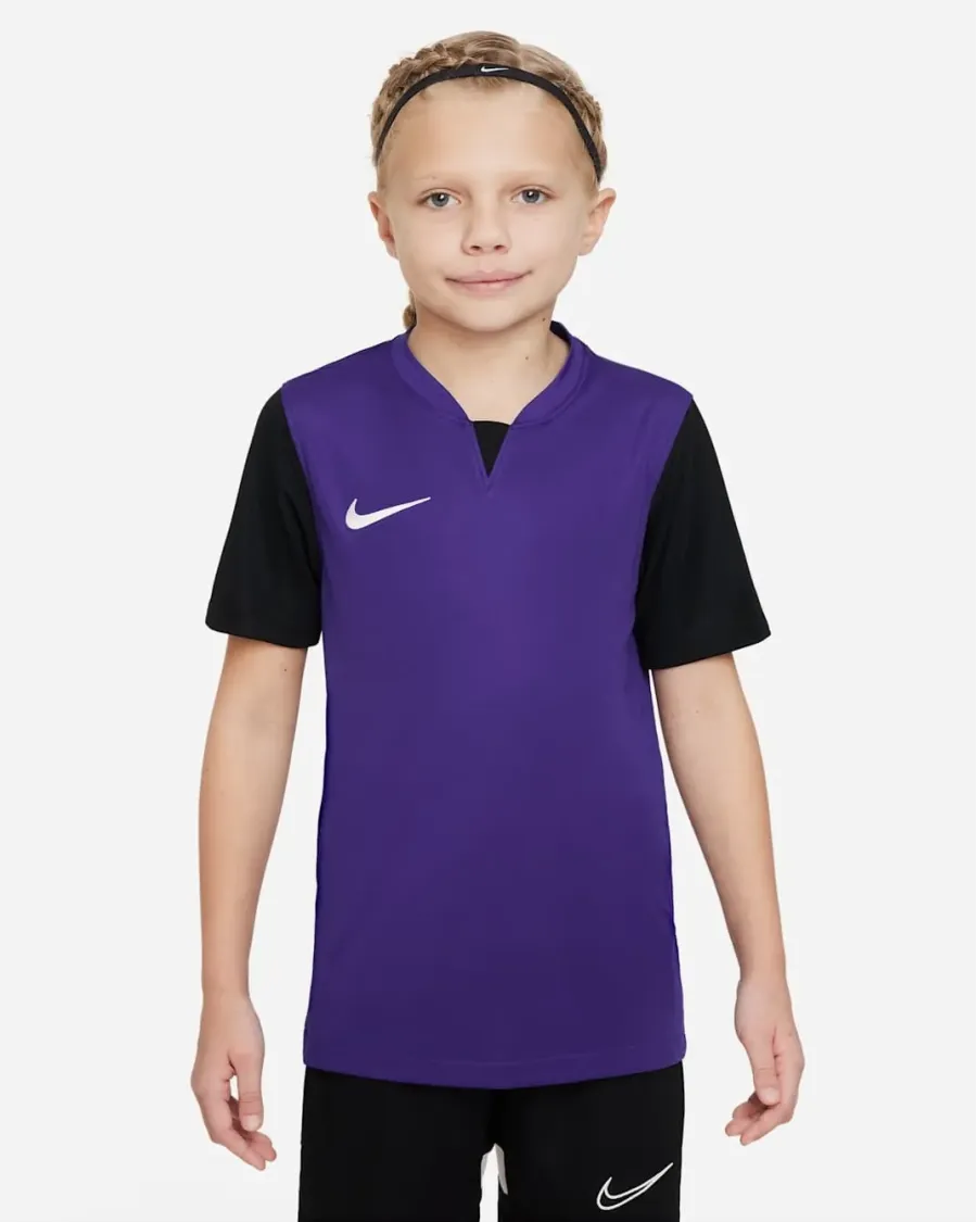 Футболка Nike Dri-FIT Trophy V DR0942-547