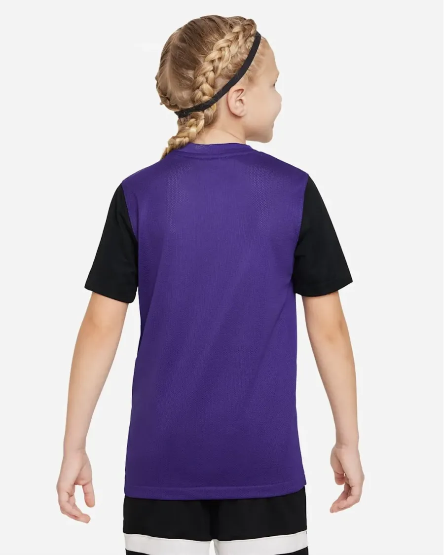 Футболка Nike Dri-FIT Trophy V DR0942-547