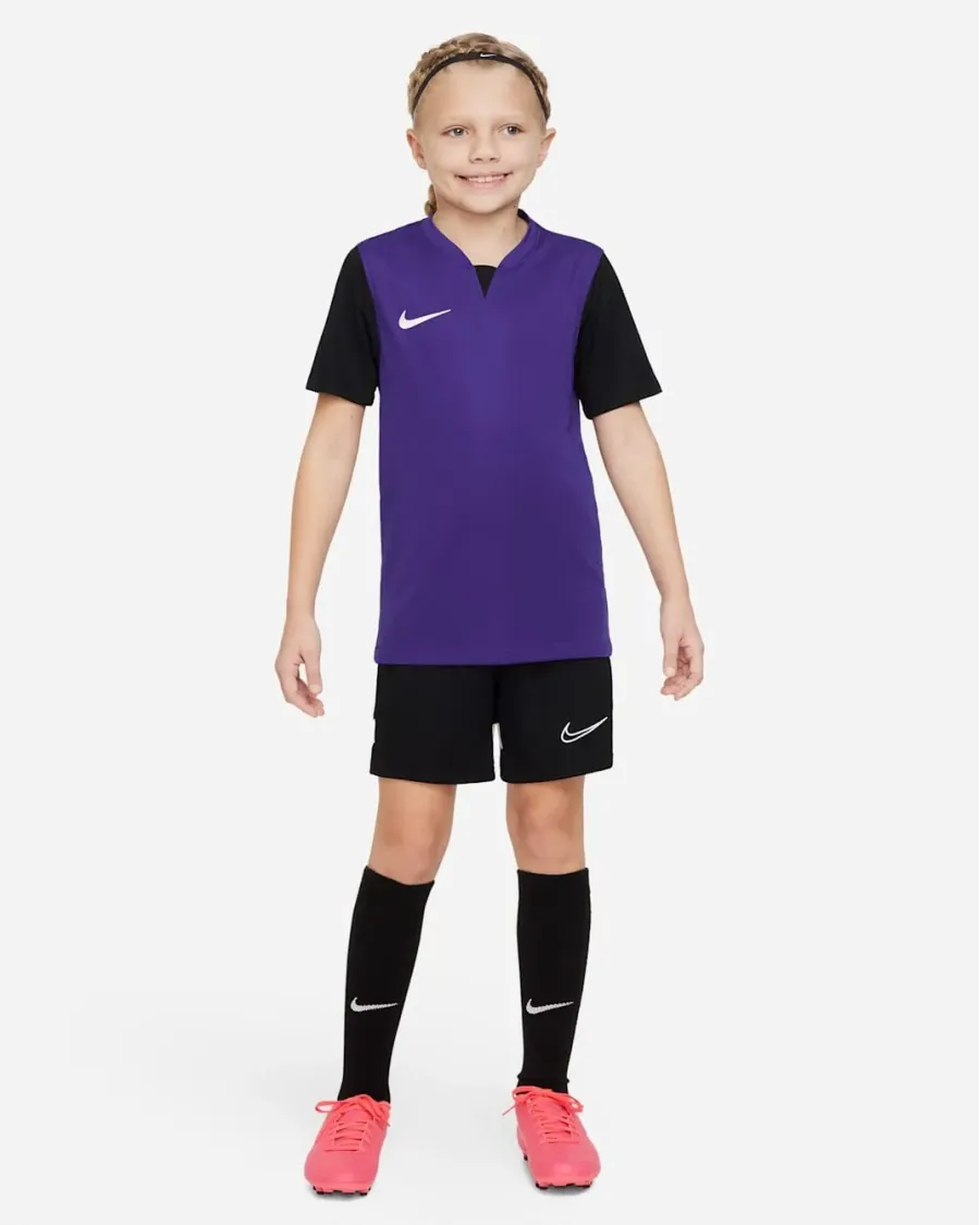 Футболка Nike Dri-FIT Trophy V DR0942-547