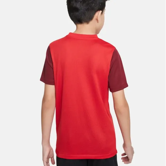 Футболка Nike Dri-FIT Trophy V DR0942-657
