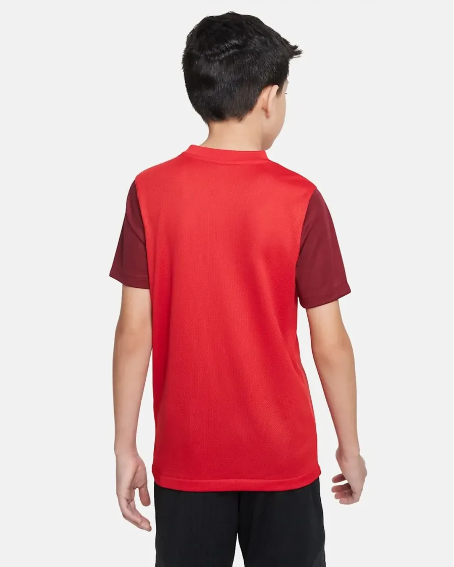Футболка Nike Dri-FIT Trophy V DR0942-657