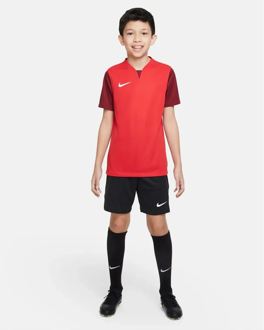 Футболка Nike Dri-FIT Trophy V DR0942-657