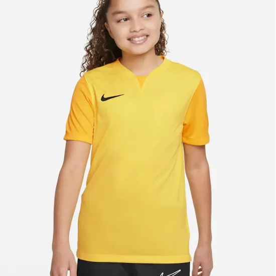 Футболка Nike Dri-FIT Trophy V DR0942-719