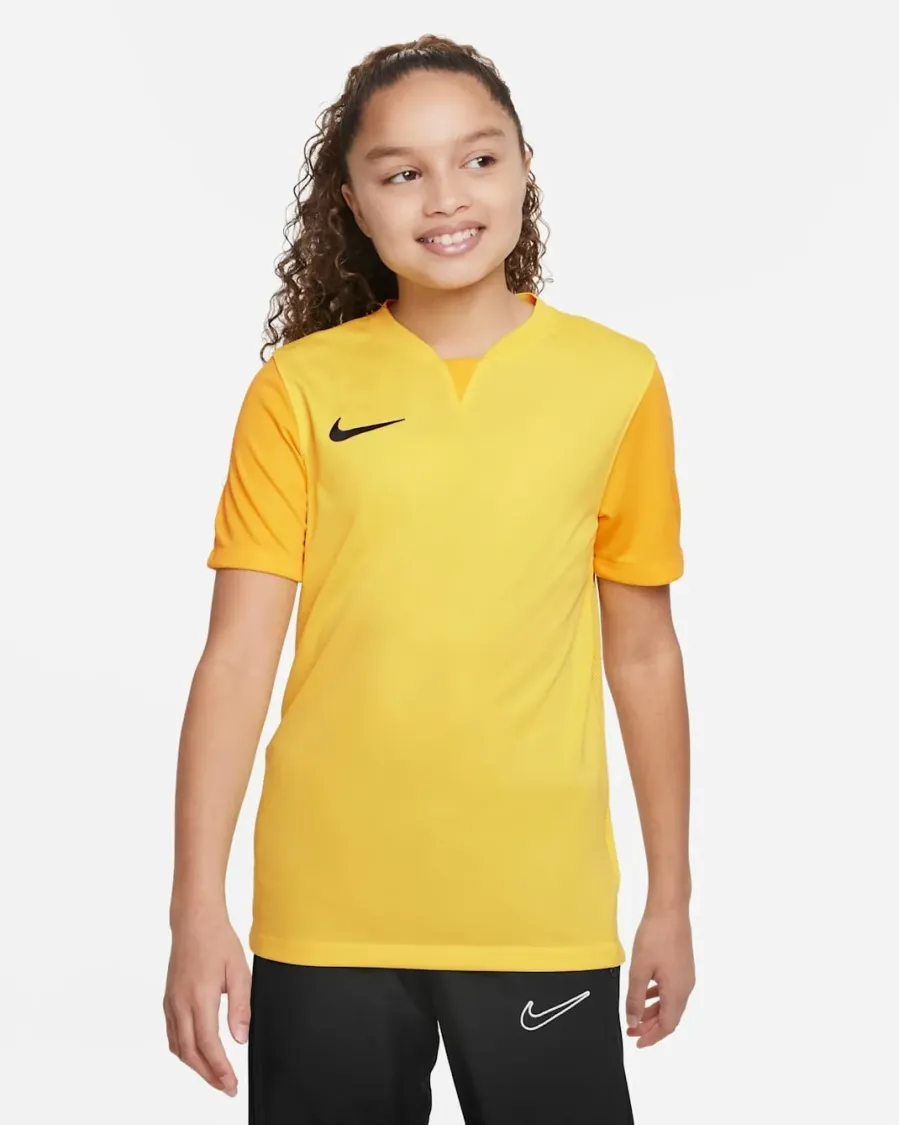 Футболка Nike Dri-FIT Trophy V DR0942-719