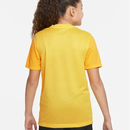 Футболка Nike Dri-FIT Trophy V DR0942-719