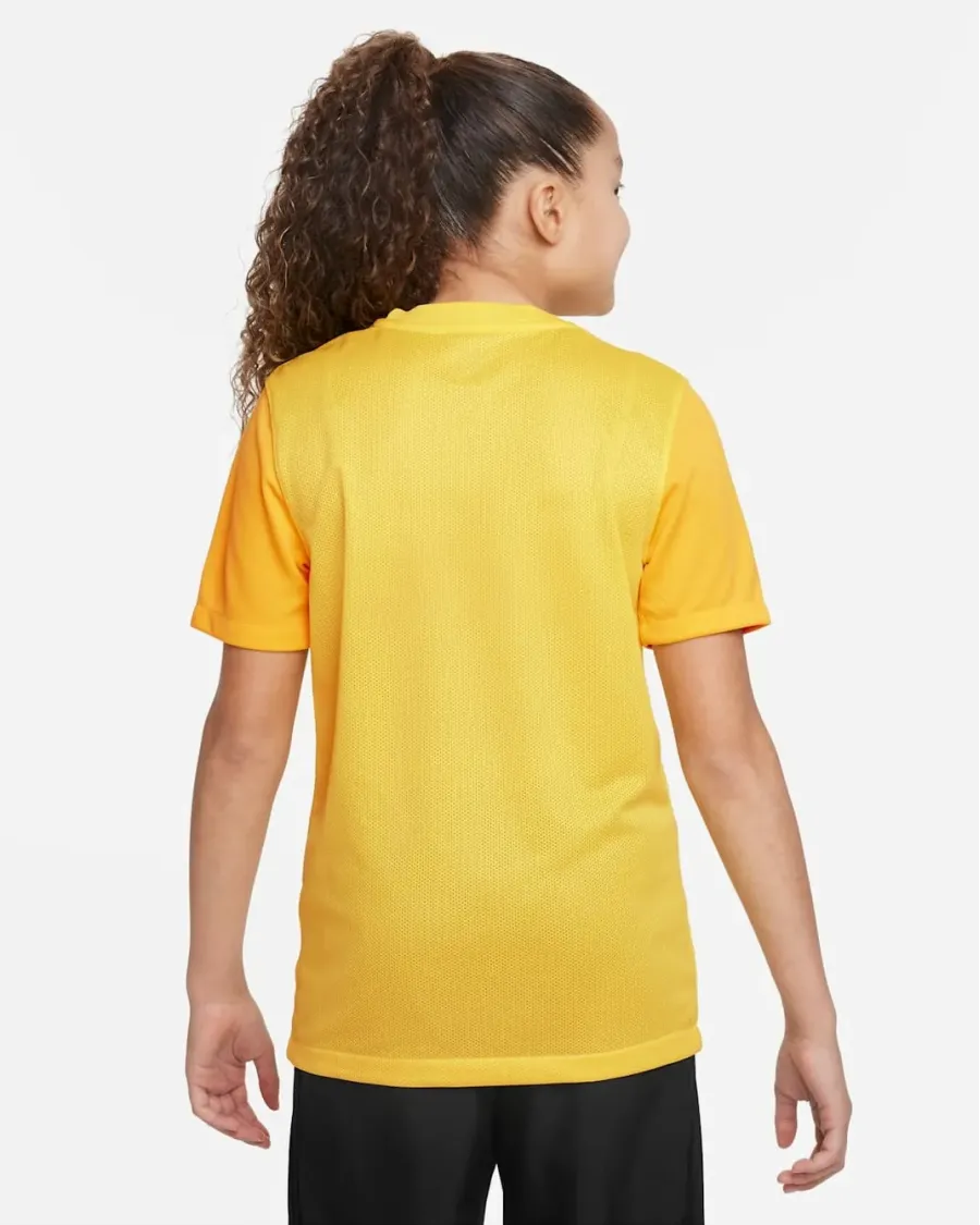 Футболка Nike Dri-FIT Trophy V DR0942-719