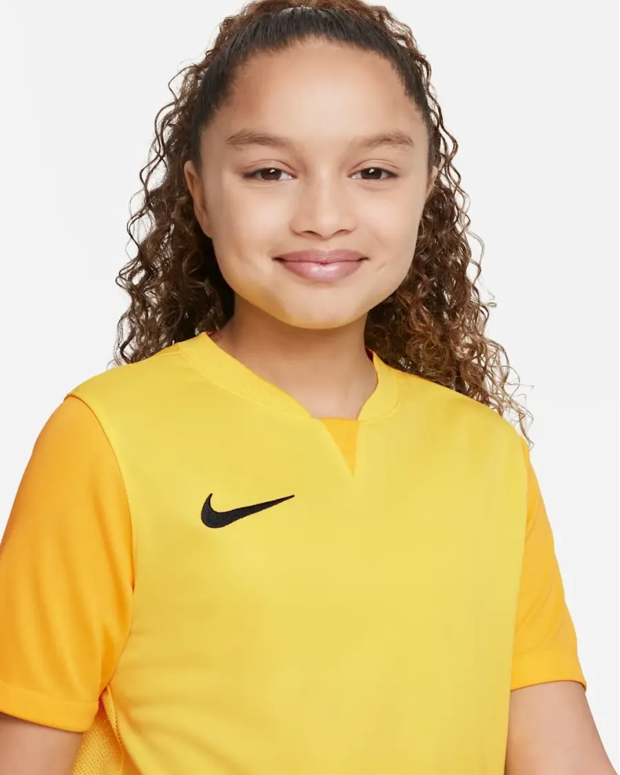Футболка Nike Dri-FIT Trophy V DR0942-719