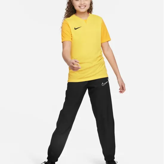 Футболка Nike Dri-FIT Trophy V DR0942-719