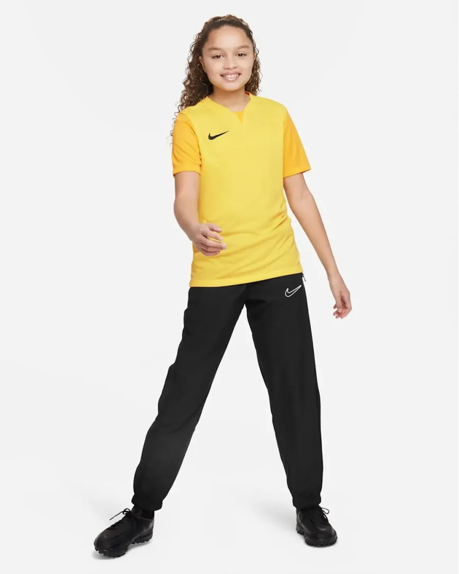Футболка Nike Dri-FIT Trophy V DR0942-719