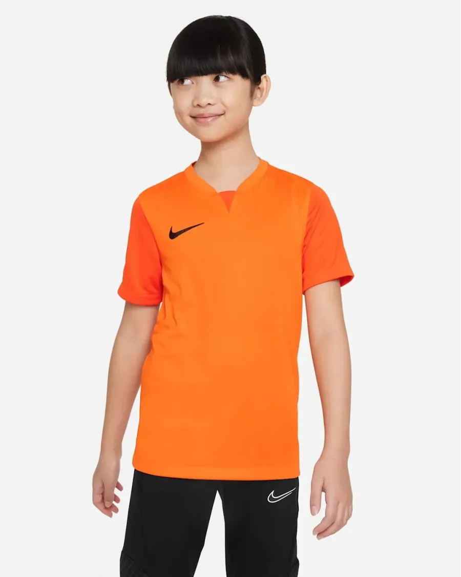 Футболка Nike Dri-FIT Trophy V DR0942-819