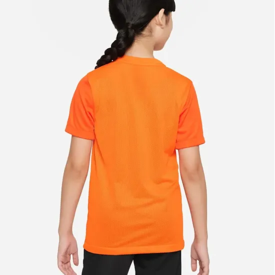 Футболка Nike Dri-FIT Trophy V DR0942-819