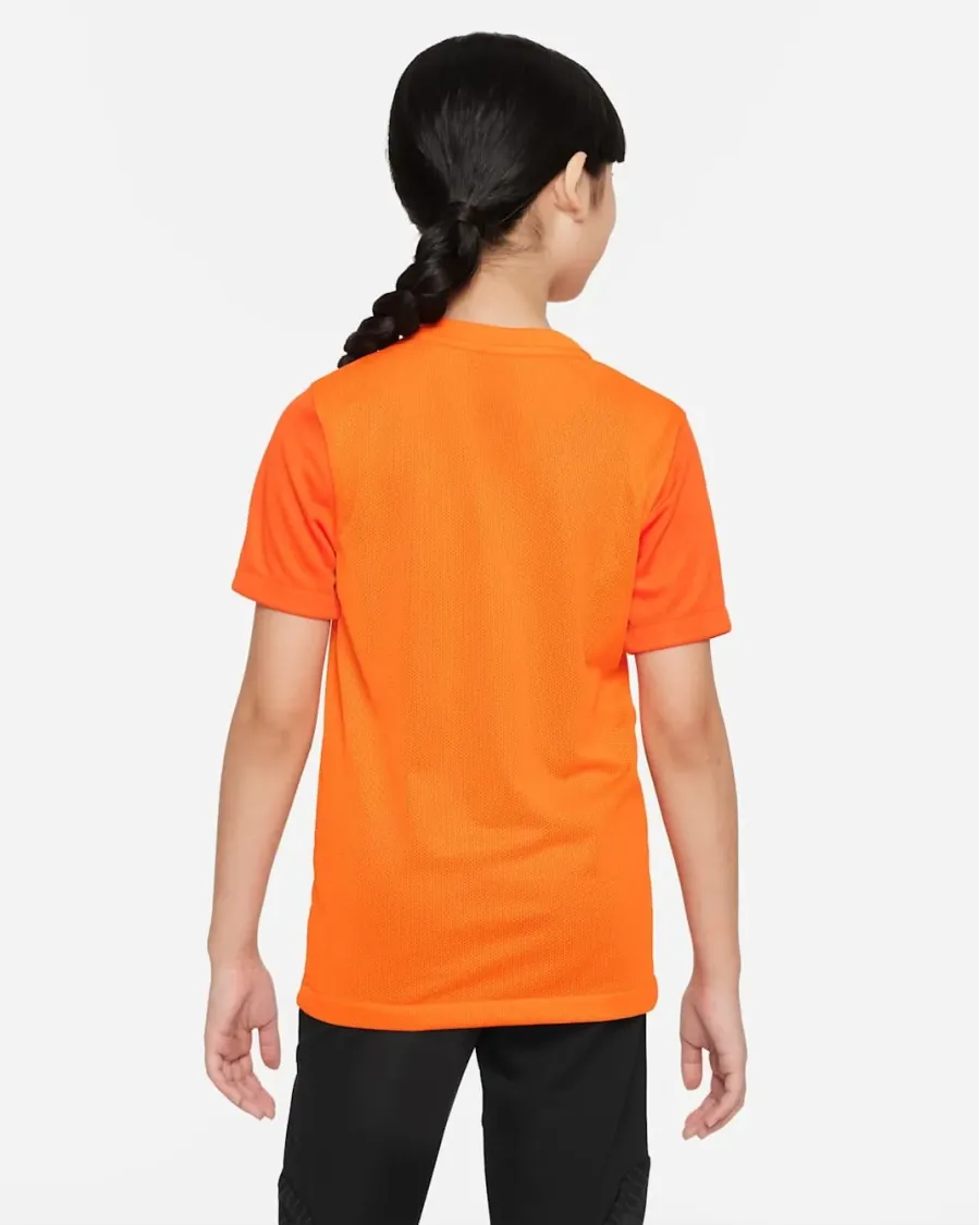 Футболка Nike Dri-FIT Trophy V DR0942-819
