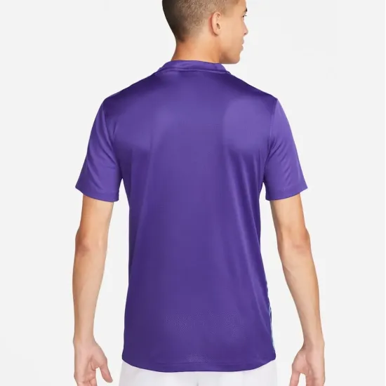 Футболка Nike Dri-FIT Precision VI DR0944-547