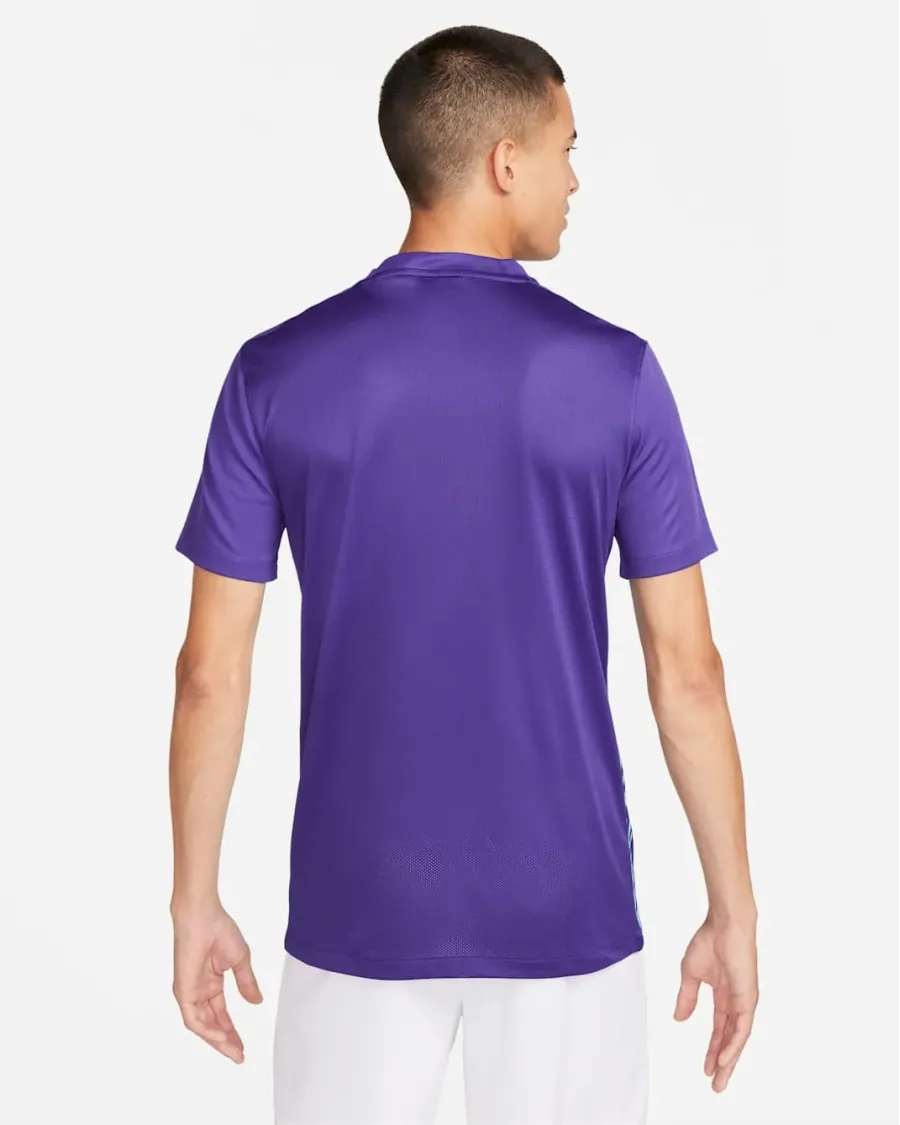 Футболка Nike Dri-FIT Precision VI DR0944-547